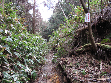 20140105hike (171)